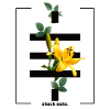 Fiori Bitcoin Crypto Satoshis Simbolo 21