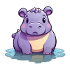 Hippopotame