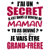 Secret Cadeau Annonce Grossesse Grand-Frère