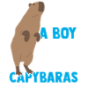 Capybara Rodent Capybara Funny