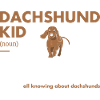 Dachshund Kid Definition