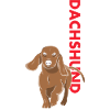 Dachshund Us Flag