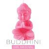tshirt buddhas neu2