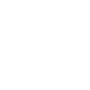 Möwe Scheiß drauf