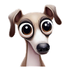 Cute Greyhound Puppy Art