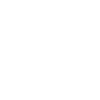 Autosilhouette ws