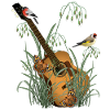 Gitarre im Gras mit Vögel