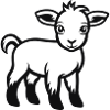 Doe