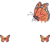 Crazy Monarch Lady