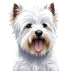 West Highland White Terrier