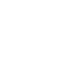 Pensioner pension