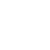 Pensioner pension
