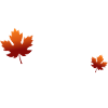 L’automne est mon préféré