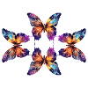 Magical butterflies