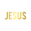 Donkey Lover Gifts