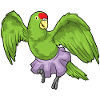 Parrot Ballerina Ballet Danse