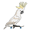 Parrot Skater Skateboard