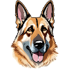 German Shepherd Dog 02