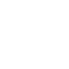 Velociraptor Fossil