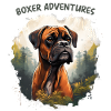 Boxer Abenteuer