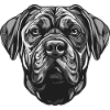 Mastiff Dog Portrait Animal