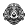 Poodle Dog Portrait Animal
