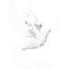 Frieden Jetzt - Peace Now - Friedenstaube