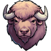 Bison Buffalo