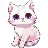 Bébé chat