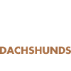 Café et teckel