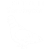 Lustige Taube Vogelbeobachter