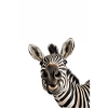 Ein gestreiftes Abenteuer