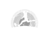 I'd rather play rugby