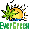 Marijuana Ever Green