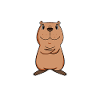 Capybara Wasserschwein Capybaras