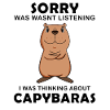 Capybara Wasserschwein Capybaras