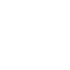 Le Bronx