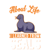 seal, sea lion, seal