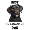 Best Labrador Dad