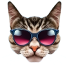 Class Cat with Sunglasses