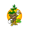 POT HEAD