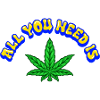 ALL YOU NEED IS
