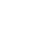 Occupation 1995