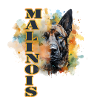 Malinois