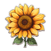 Sonnenblume