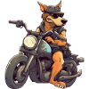 Chien cool sur la moto