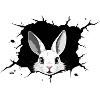 Rabbit Rabbit Rabbit Hole
