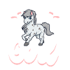Appaloosa Girl