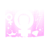 Feminist Radical Feminist