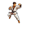 Karate Fighter